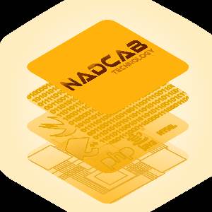 Private Blockchain Development Services